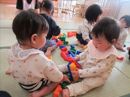 たんぽぽ