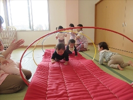 たんぽぽ