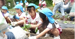 h-info01.JPG