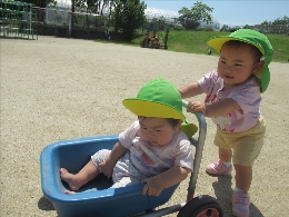 たんぽぽ